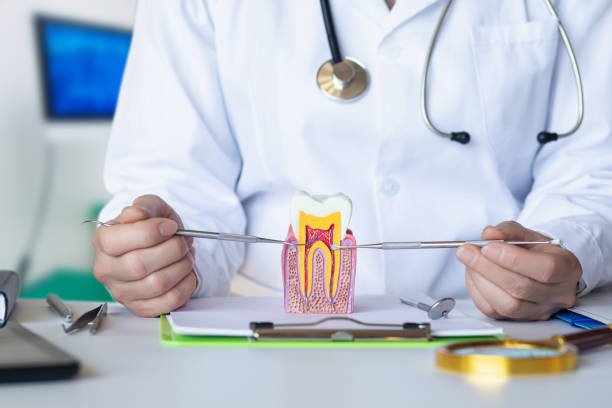 Best Emergency Broken Tooth Repair in Bluewell, WV